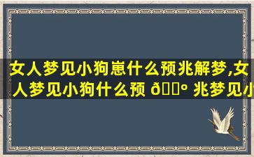 女人梦见小狗崽什么预兆解梦,女人梦见小狗什么预 🐺 兆梦见小狗崽